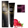 BB Hair Plex N°6.22 Blond Foncé Violine Intense 100ml 2 BB Hair Plex N°6.22 Blond Foncé Violine Intense 100ml -Soins Capillaires cbfaab3a 1863 4879 9495 d314f6f0448e.600
